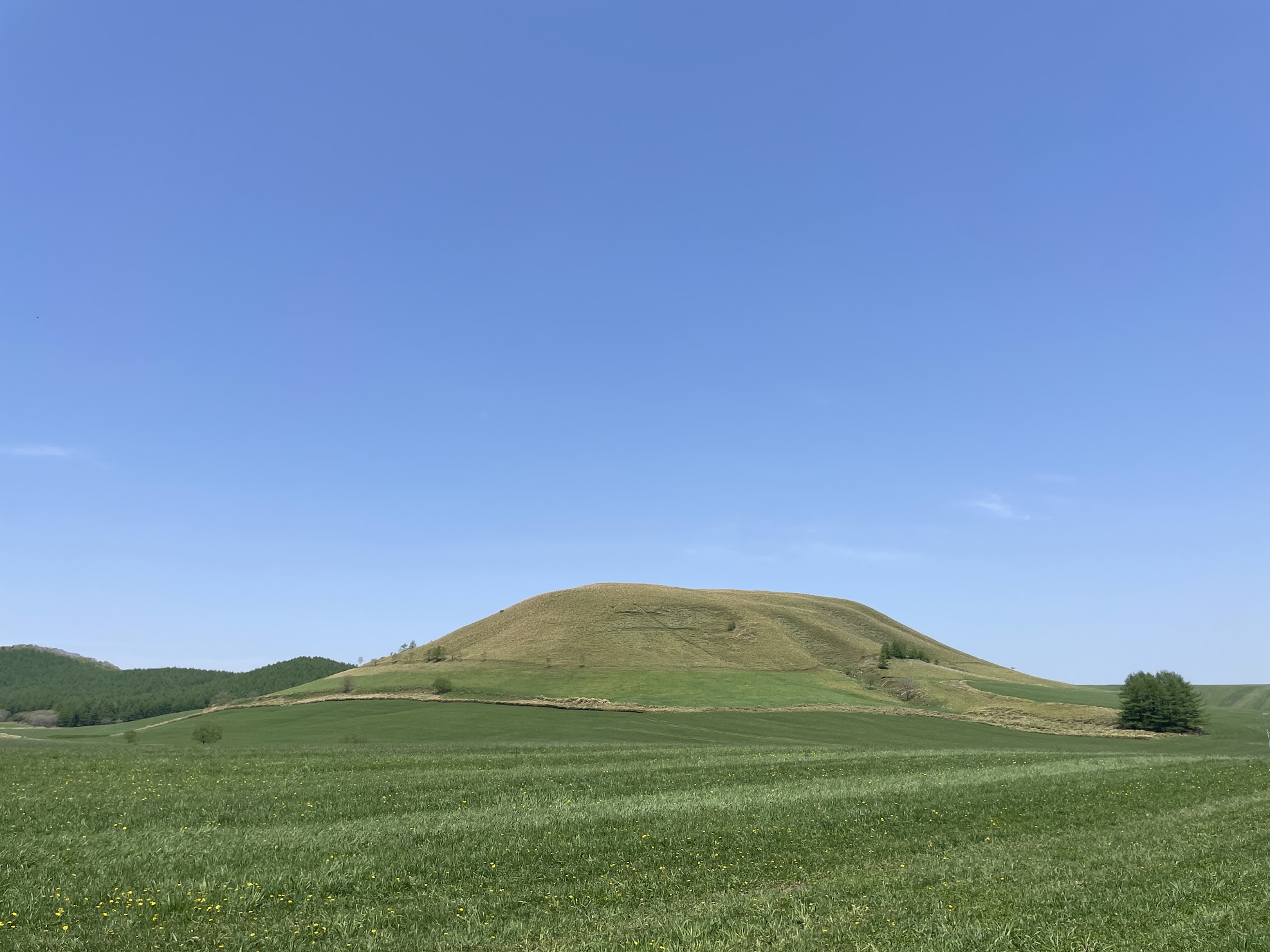 春の中標津・モアン山